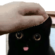 Me_Goes_RAWR